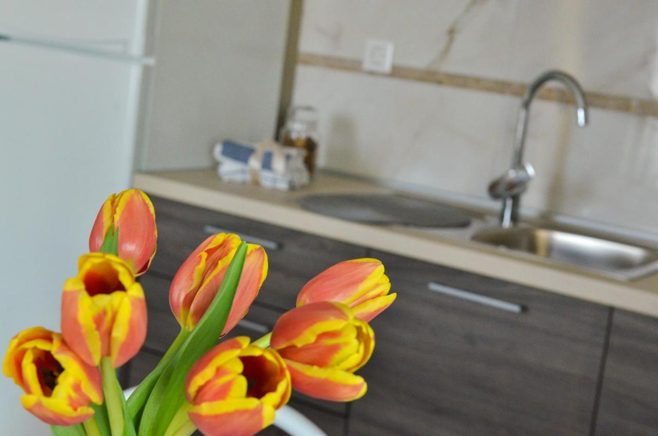 Apartmani Peric 1 Meka Draga Obrovac Exteriör bild