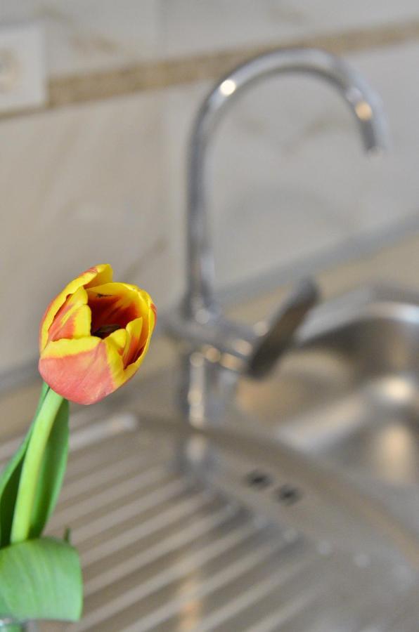 Apartmani Peric 1 Meka Draga Obrovac Exteriör bild